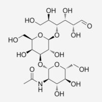 乳糖-N-三糖（LNTII)，75645-27-1，≥99%，阿拉丁