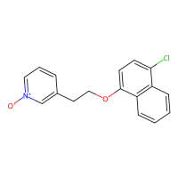 DL-175，Moligand™，阿拉丁