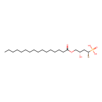 anti-BrP-LPA,Moligand™,阿拉丁