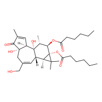 4α-PDH，Moligand™，阿拉丁