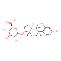 [³H]estradiol-17β-glucuronide，Moligand™，阿拉丁