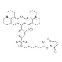 Texas Red-X,SE(Texas Red-X 琥珀酰亚胺酯),Ex:595nm, Em:613nm,阿拉丁