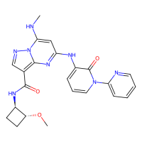 zasocitinib,Moligand™,阿拉丁