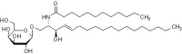 N-十二烷酰基-β-D-半乳糖基神经酰胺,≥98%,阿拉丁