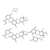 Gentacin，阿拉丁