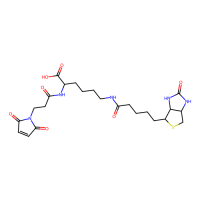 N-(3-马来酰亚胺基丙酰基)生物胞素,102849-12-7,≥75%,阿拉丁
