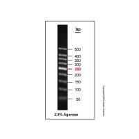 Gelred-prestained DNA Ladder (50-500bp),BioReagent, 即用型, 适用于电泳, 分子生物学级, 用于核酸电泳, 50-500 bp, 9 bands, 50bp/ 100bp/ 150bp/ 200bp/ 250bp/ 300bp/ 350bp/ 400bp/ 500 bp,阿拉丁