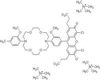ION Potassium Green-2 TMA +盐,≥90%,阿拉丁