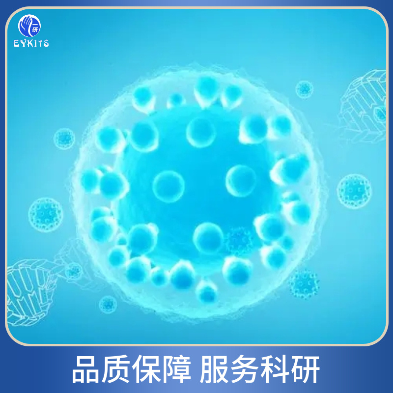 新闻图片1