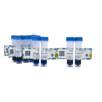 Gelred-prestained DNA Ladder (100-5000bp),BioReagent, 即用型, 适用于电泳, 分子生物学级, 用于核酸电泳, 100-5000bp, 9 bands, 100bp/ 250bp/ 500bp/ 750bp/ 1000bp/ 1500bp/ 2000bp/ 3000bp/ 5000bp,阿拉丁