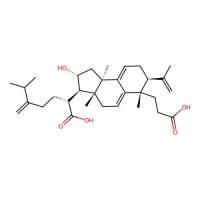 Poricoic acid A,137551-38-3,≥98%,阿拉丁
