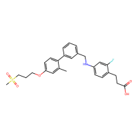 TUG-905，Moligand™，阿拉丁