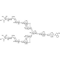 Neu5Gcα(2-6) N-聚糖 2AB (500pmol/vial),>95.0%(HPLC),阿拉丁