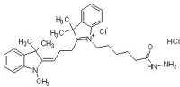 Cyanine3酰肼，≥95%，阿拉丁