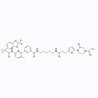 NJH-2-057,2858812-70-9,≥98%,阿拉丁