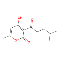 波戈斯通，23800-56-8，10mM in DMSO，阿拉丁
