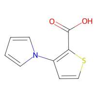 3-(1H-吡洛-1-基)噻吩-2-羧酸,74772-17-1,≥95%,阿拉丁