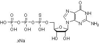 GTPalphaS（水溶液），81570-51-6，≥95%，阿拉丁
