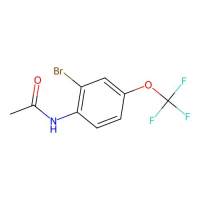 N-(2-溴-4-(三氟甲氧基)苯基)乙酰胺，131395-29-4，≥98%，阿拉丁