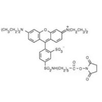 Aladdin Red-X NHS Ester, 5-isomer,阿拉丁