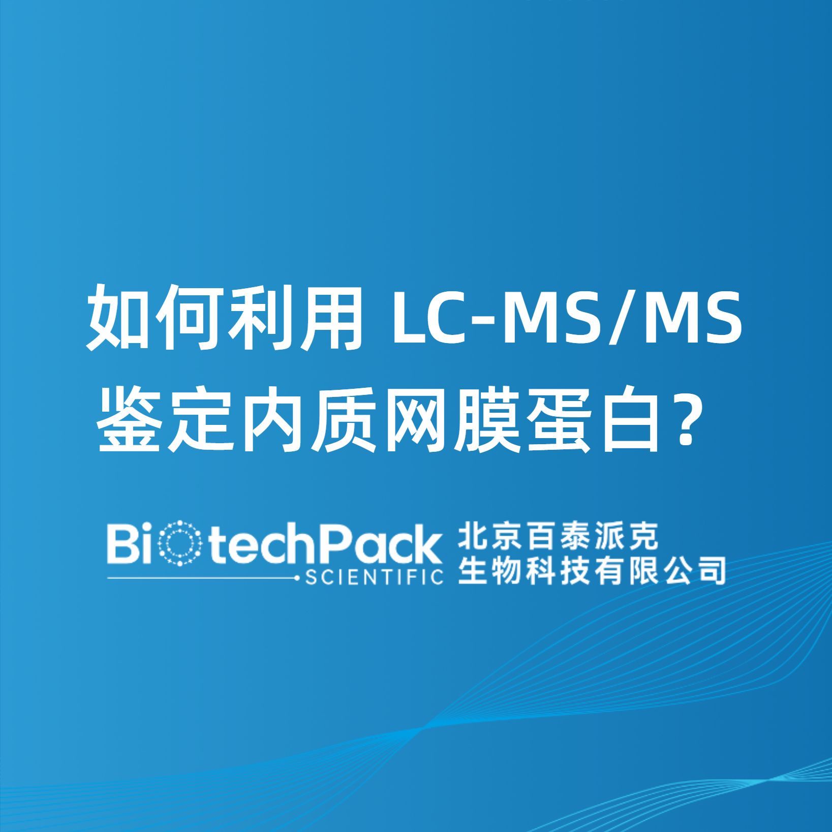 如何利用 LC-MS/MS 鉴定内质网膜蛋白？