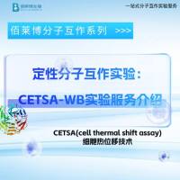 定性分子互作实验：CETSA-WB实验服务介绍