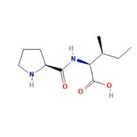 L-脯氨酰-L-异亮氨酸,51926-51-3,≥98%,阿拉丁
