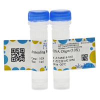 RNA寡核苷酸退火缓冲液 (10×)，BioReagent, PCR试剂, 分子生物学级, 无RNA酶, 无菌, for DNA and RNA applications, 10X，阿拉丁