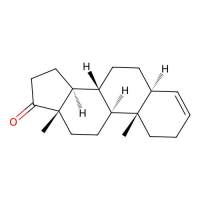 5a-Androst-3-en-17-one,14935-81-0,阿拉丁