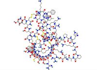 Echistatin,α1亚型,TFA盐,154303-05-6,≥95%,阿拉丁
