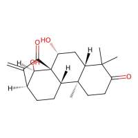 Glaucocalyxin A,79498-31-0,≥99%,阿拉丁