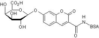 3-羧基伞形花基-β-D-半乳糖苷，≥98%，阿拉丁