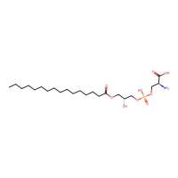 1-Hexadecanoyl-sn-glycero-3-phosphoserine,116947-34-3,阿拉丁