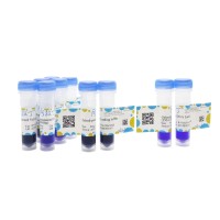 Gelred-prestained DNA Ladder (250-12000bp),BioReagent, 即用型, 适用于电泳, 分子生物学级, 用于核酸电泳, 250-12000bp, 13 bands, 250bp/ 500bp/ 750bp/ 1000bp/ 1500bp/ 2000bp/ 2500bp/ 3000bp/ 4000bp/ 5000bp/ 6000bp/ 8000bp/ 12000bp,阿拉丁