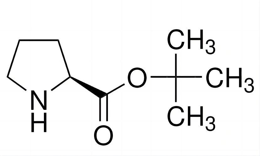 L-脯氨酸叔丁基酯,2812-46-6,≥98%,阿拉丁产品图