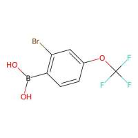 (2-溴-4-(三氟甲氧基)苯基)硼酸，959997-86-5，≥98%，阿拉丁