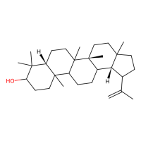 3beta-Hydroxy-20(29)-lupene,Moligand™,阿拉丁