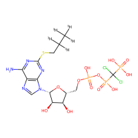[³H]PSB-0413，Moligand™，阿拉丁