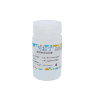 质粒DNA保存液，BioReagent, 即用型, 无RNA酶, 无菌，阿拉丁