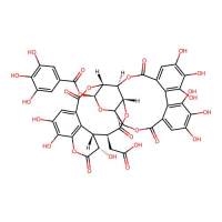 Chebulagic acid，23094-71-5，10mM in DMSO，阿拉丁
