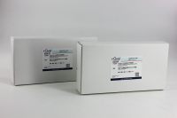 Q30强阴离子交换预装柱,i-Quip™, 容积:5ml;柱管材质:塑料;粒径:30μm;柱载量:BSA≥130mg/ml