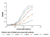Rabbit Anti-Mouse IgG antibody,高性能,PBS Only,见COA,阿拉丁
