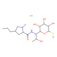 盐酸林可霉素,859-18-7,10mM in DMSO,阿拉丁