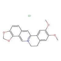 Epiberberine chloride,889665-86-5,10mM in DMSO,阿拉丁