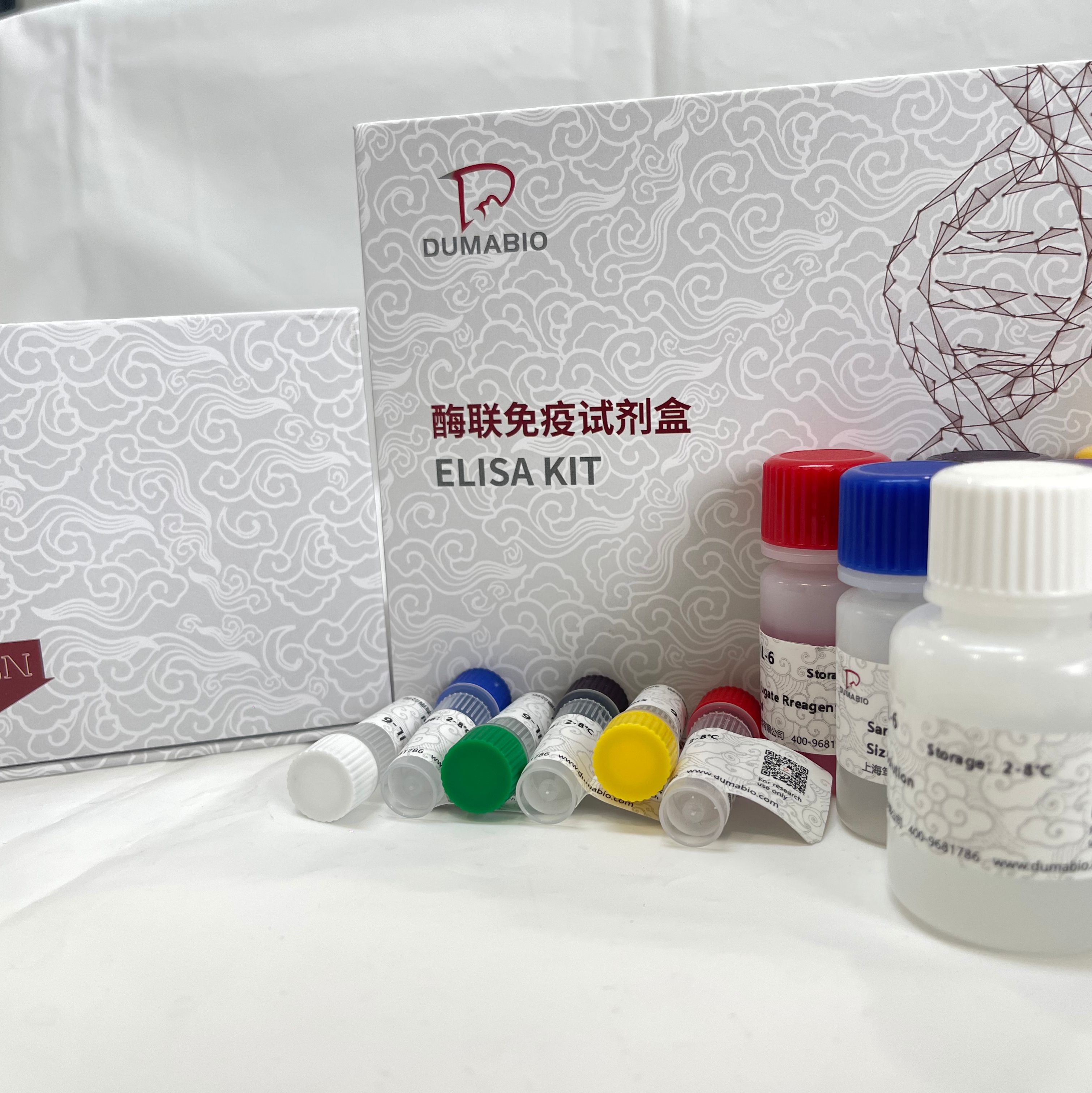 人（Human）乳酸脱氢酶同工酶（LDH -C）ELISA检测试剂盒