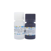 蛋白酶磷酸酶抑制剂混合物（真菌或酵母抽提用，50X），BioReagent, 真菌或酵母抽提用, 50X，阿拉丁