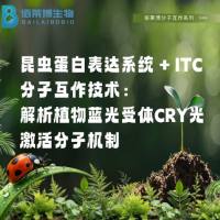 昆虫蛋白表达系统 + ITC分子互作技术：解析植物蓝光受体CRY光激活分子机制