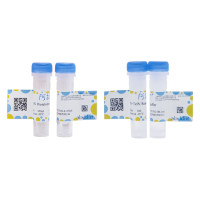 TelN 端粒酶，BioReagent, PCR试剂, 用于DNA合成, 分子生物学级, EnzymoPure™, 用于体外转录, for DNA and RNA applications, 10 U/μL，阿拉丁