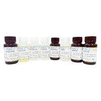 Masson三色染色试剂盒 (固绿法),BioReagent, 生物染色剂, 用于显微镜,阿拉丁
