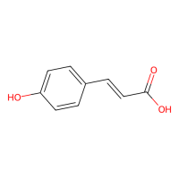 对羟基肉桂酸，7400-08-0，10mM in DMSO，阿拉丁